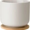 Tea Cups & Mugs Stelton Theo Tea Mug 200 Ml -Thermos Shop unnamed file 306